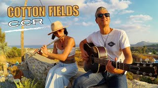 Cotton Fields  Creedence Clearwater Revival MG Shuffle Cover [upl. by Yar]