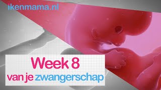 8 weken zwanger Bekijk symptomen echo van het kloppend hartje of een filmpje van het embryo [upl. by Ellevart]