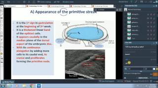 3rd wk of pregnancy  gastrulation  Dr Ahmed Farid [upl. by Hashimoto985]