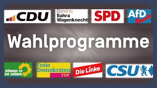 Alle Wahlprogramme aller größeren Parteien erklärt  EUWahl 2024 [upl. by Enoed]