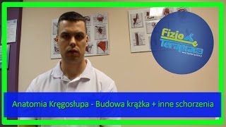 Anatomia Kręgosłupa  Budowa krążka  inne schorzenia 7 FizjoTerapia HD [upl. by Esela]