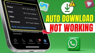 How to Fix Auto Download Not Working on WhatsApp on iPhone  WhatsApp Not Auto Downloading [upl. by Hoskinson666]