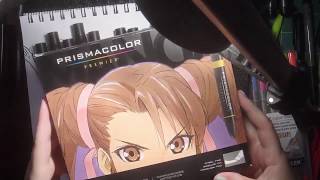 prismacolor marker review manga set [upl. by Caren]