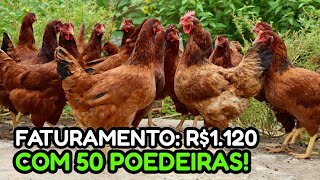 100 GALINHAS POEDEIRAS GERAM QUANTO DE LUCRO💰 Forma certa de começar [upl. by Aseen]