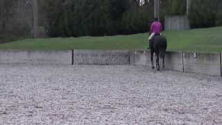 Novice 38 Nov 38 N38 Dressage Test [upl. by Eiramrebma]