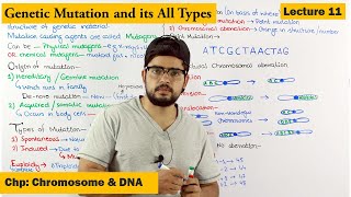 Mutation and its Types  Lecture 11 [upl. by Gervase]