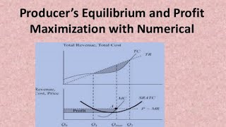 profit maximization TR and TC approach with mathmetical explained [upl. by Deacon285]