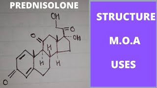 Prednisolone mechanism of Action  uses of prednisolone  prednisolone medicinal chemistry [upl. by Lletnahc]