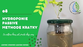 La méthode hydroponique Kratky [upl. by Thalassa]