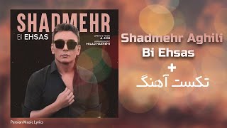 Shadmehr Aghili  Bi EhsasLYRICS ON SCREEN [upl. by Adnalro]