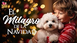 El milagro de la Navidad  Película Cristiana [upl. by Ailyt]