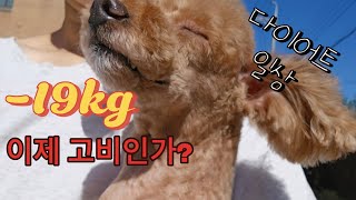 19감량후 고비가 온듯😭종로서적아이라인문신제거다이어트 일상브이로그 [upl. by Anesuza]