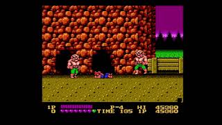 double dragon nintendo nes gameplay [upl. by Sirrot443]