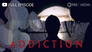 Addiction I Full Documentary I NOVA I PBS [upl. by Demahom]