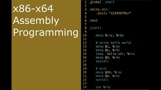 x8664 Assembly ASM 4  ascii and asciz [upl. by Mir]