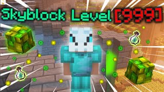 How I SPEEDRAN Early game Skyblock levels Hypixel Skyblock [upl. by Anatsirhc399]