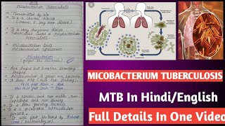 Micobacterium tuberculosis  Mycobacterium tuberculi microbiology [upl. by Drawde248]