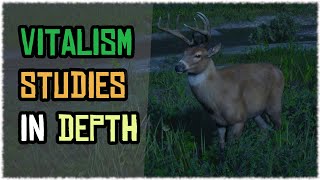 Animal transformation in Depth Vitalism studies Guide in red dead online Buck [upl. by Plumbo]