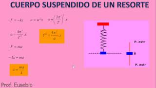 Movimiento Armónico Simple  Sistema cuerpo resorte [upl. by Nylaret855]