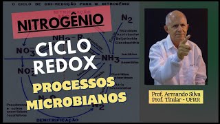 Nitrogênio Ciclo Redox [upl. by Leelaj]