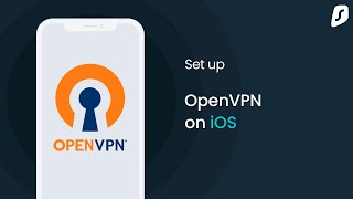 How to set up OpenVPN on iOS iPhoneiPad [upl. by Carew867]