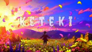 KETEKI   Slowed and Reverb  song [upl. by Dilks]