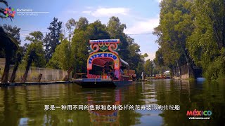 Xochimilco  Ciudad de México CDMX  Barrio Mágico en México  chino barriosmágicos travel [upl. by Rufus139]