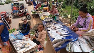 ชาวลาวขายปลาน้ำโขง ตลาดริมทาง แขวงจำปาสัก Local food market Champasak Laos [upl. by Agathe]