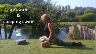 Yin Yoga instructie video  lente  element hout  lever en galblaasmeridiaan  swan up amp sleeping [upl. by Agrippina624]