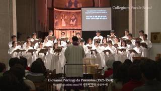 Palestrina Magnificat  Collegium Vocale Seoul 콜레기움 보칼레 서울 [upl. by Moshell]