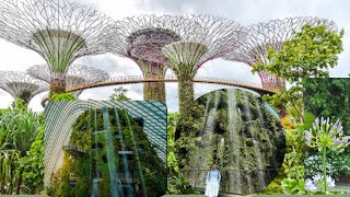 Gardens by the Bay in Singapore [upl. by Louisette]