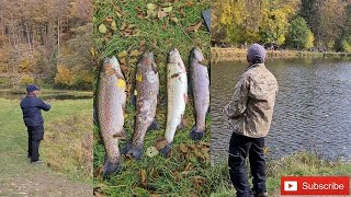 Forellenangeln in Hessen  Naturefish Usingen  VLOG1 [upl. by Htebzile]