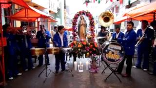 La Guadalupana con la banda Astro [upl. by Idnym]