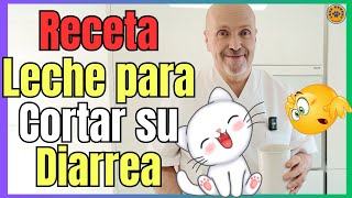 🔴 ¿COMO PREPARAR LECHE PARA CORTAR LA DIARREA EN GATOS BEBES Receta 2 🔴 [upl. by Yecak10]