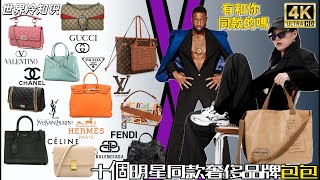 【世界冷知识】十個明星同款包包奢侈品牌 top10，感谢大家的支持，谢谢观看 明星同款 奢侈品 包包 同款 top10 明星 名牌 [upl. by Ativ820]