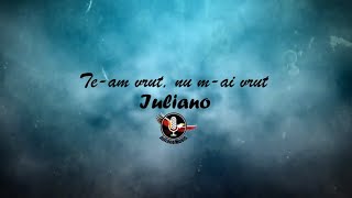 IULIANO  TEAM VRUT NU MAI VRUT Lyric Video [upl. by Enuj]