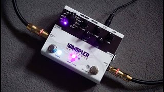 Wampler Metaverse [upl. by Ocer718]