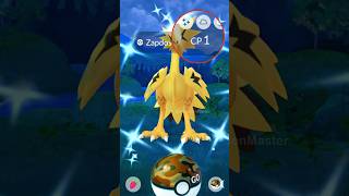 LETS GO ✨ SHINY GALARIAN ZAPDOS in Pokemon GO [upl. by Yesnyl]