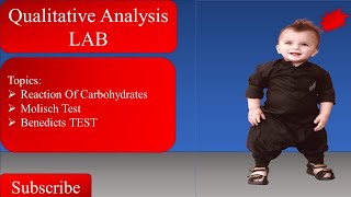 Qualitative Analysis  Reactions Of Carbohydrates  Molisch Test  benedicts Test  Bochemistry [upl. by Vanderhoek]