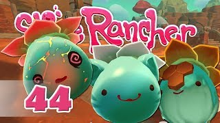 Slime Rancher  44  МЕГА ЯКИ КРЪСТОСКИ [upl. by Eyaf]