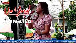 Nia yuzal  Kamelia  DNS musik [upl. by Oreves239]