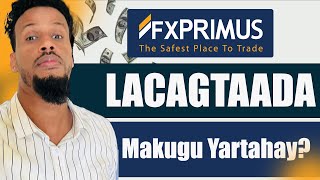 FURSAD WEYN  Lacagta Aad haysato makugu yartahay  FXPRIMUS ka Qaado lacag [upl. by Alyce]