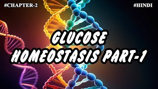 Chapter 2  Metabolism Of Carbohydrates Part14  Glucose Homeostasis [upl. by Normy700]