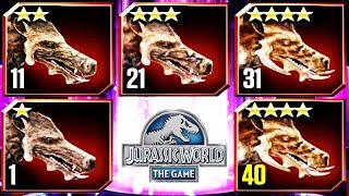 CENOZOIC ARCHAEOTHERIUM NEW MAX LEVEL FEEDING JURASSIC WORLD [upl. by Nnairak]