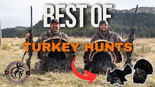 BEST OF TURKEY HUNTS  The Bearded Buck Turkey Season 2024 [upl. by Kcerred]