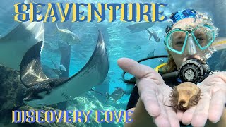 SeaVenture  Discovery Cove  Underwater Walk Experience [upl. by Adnawad]