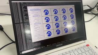 LRF Frame Grabber Demonstration [upl. by Pish]