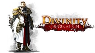 Divinity Original Sin  Vale ou não a pena jogar [upl. by Sybyl191]