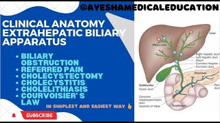 Clinical anatomy of GALLBLADDER and EXTRAHEPATIC BILIARY APPARATUS  ayeshamedicaleducation [upl. by Okuy]