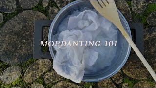 HOW to MORDANT a CELLULOSE FABRIC  Natural dyeing at home  Botanical colours [upl. by Emmerie27]